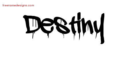 Essay about destiny